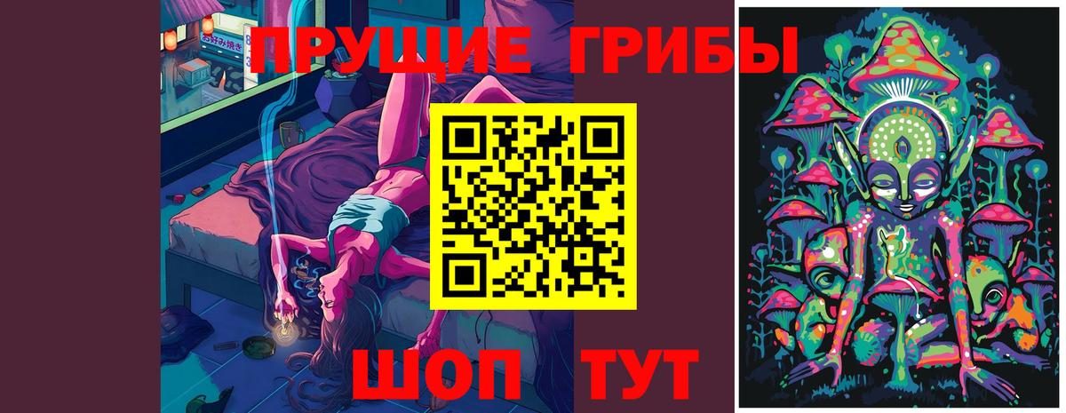 Гагарин  Галлюциногенные грибы Psilocybe  как найти закладки  Вход с VPN 